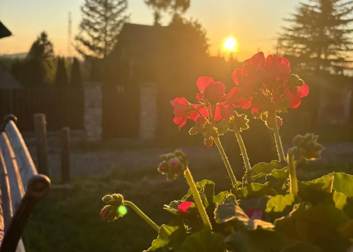 U Hanci Z Jacuzzi Domek alpejski *